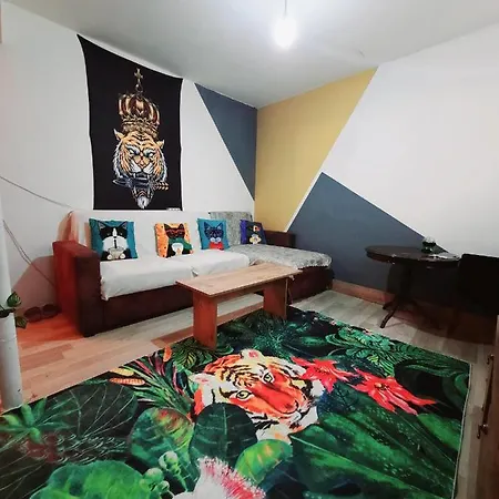 Lovely 1-bed איסטמבול